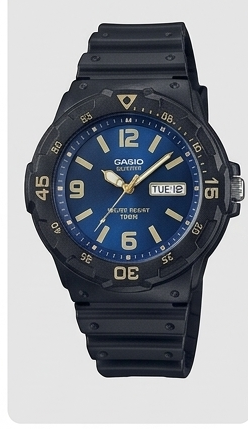 Casio quartz 138256 